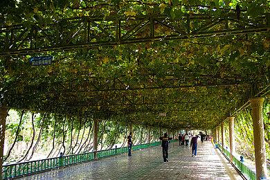 任天堂可能在美国亏本销售Switch2 但他们可以承受